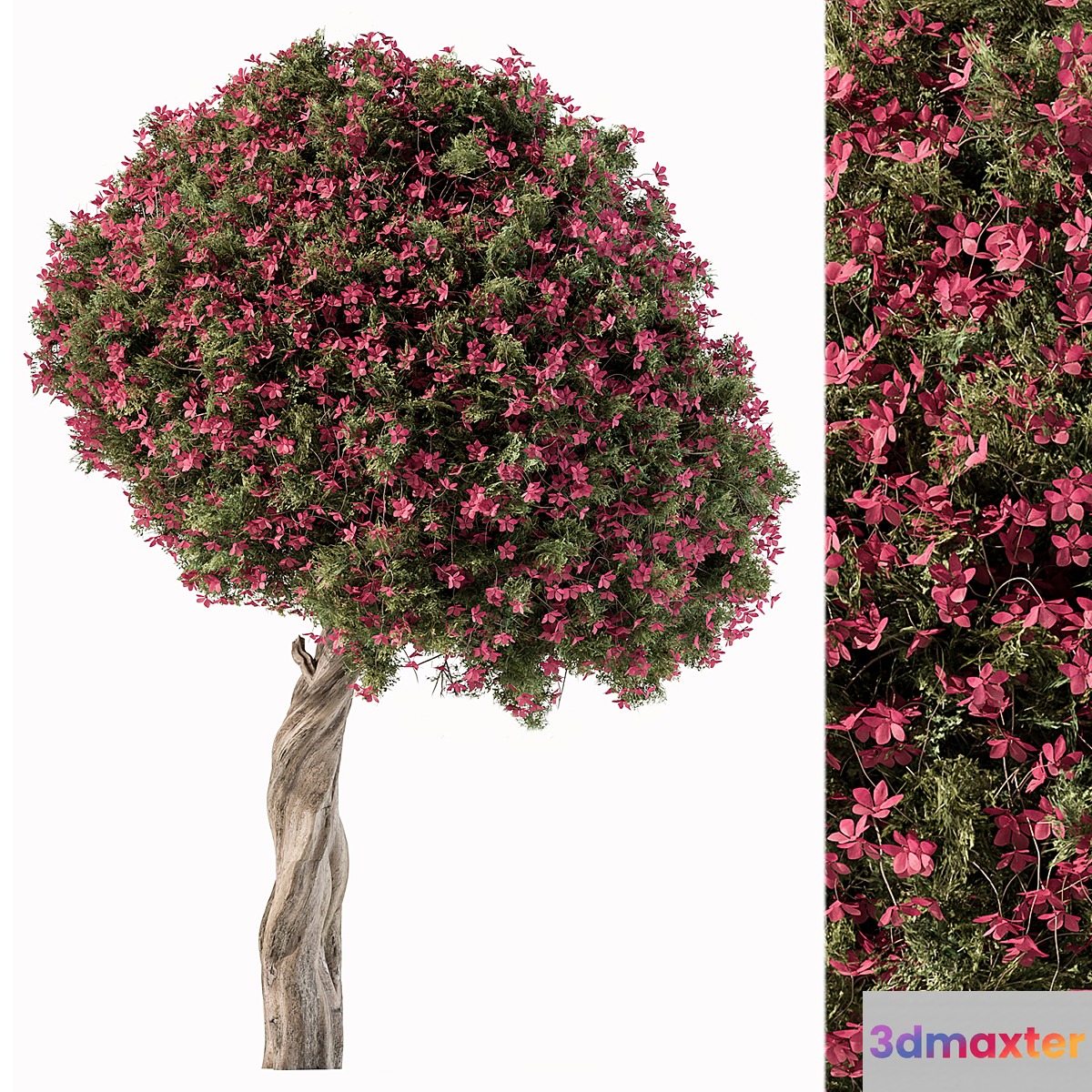 Flower Tree - Set 104 - No.2