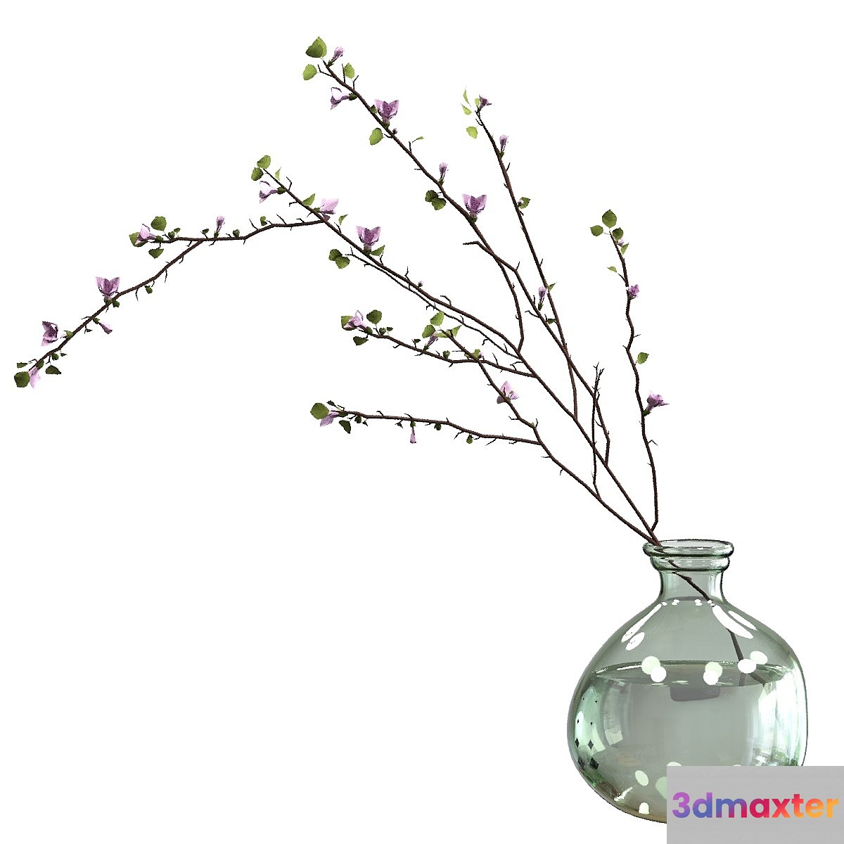 Branch with flowers in an asymmetric bottle