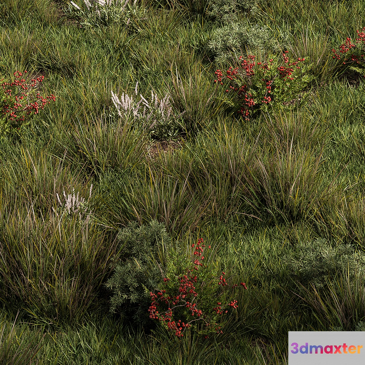 Nature Meadow - Grass Set 17