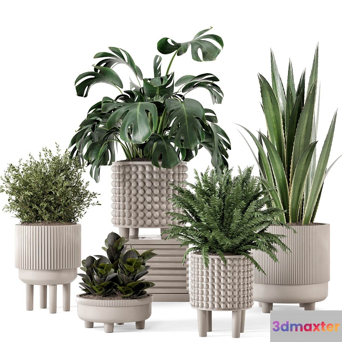 Indoor Plants in Standing Legs Small Bowl Concrete Pot - Set 1041 3D Max