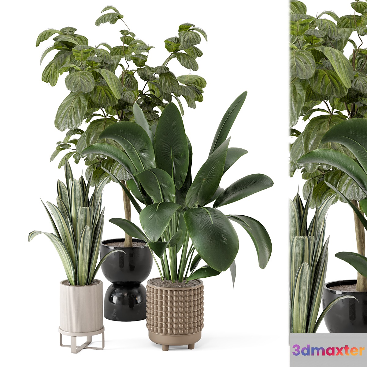 Indoor Plants in Ferm Living Bau Pot Large - Set 1044