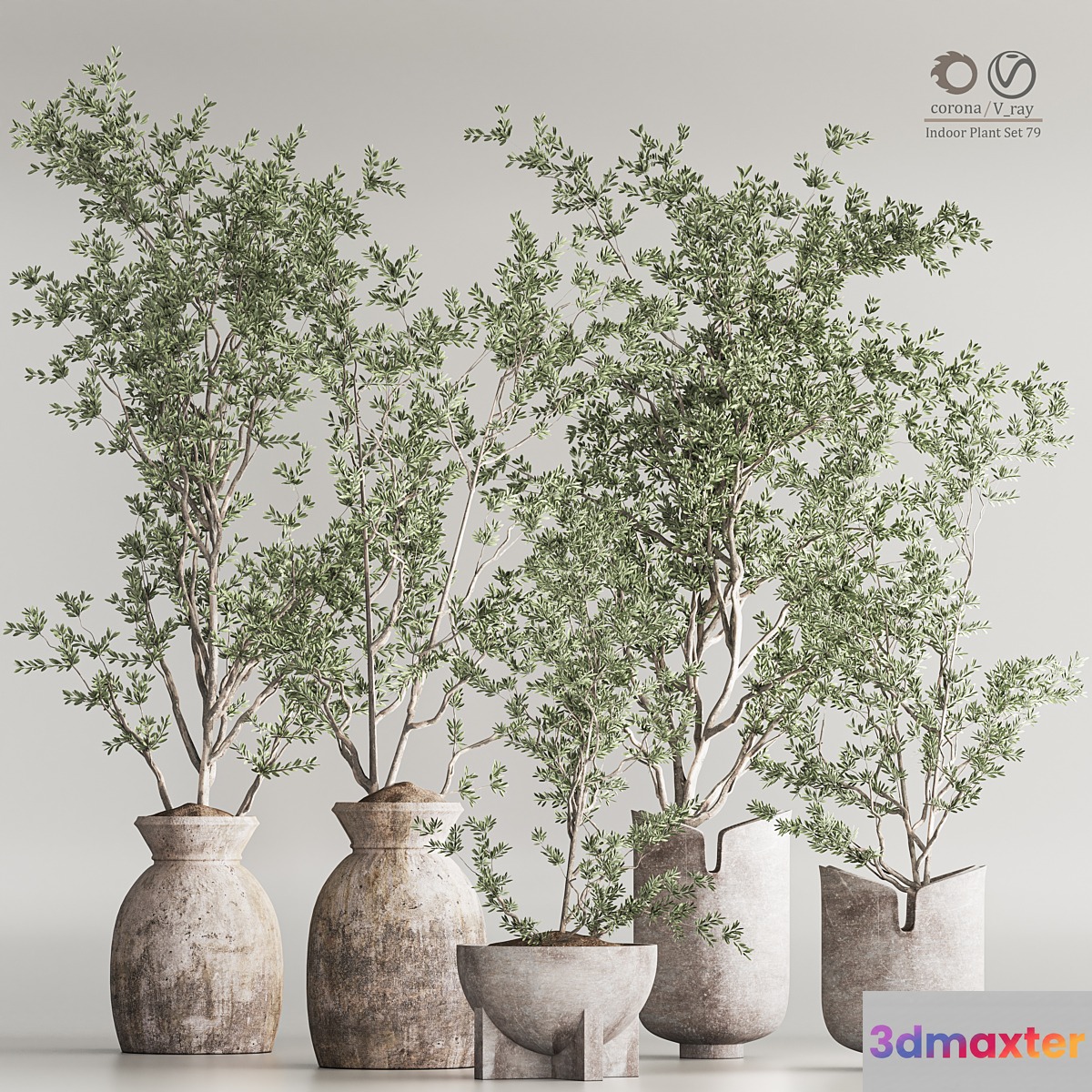Indoor Plant Set 79 - No.2