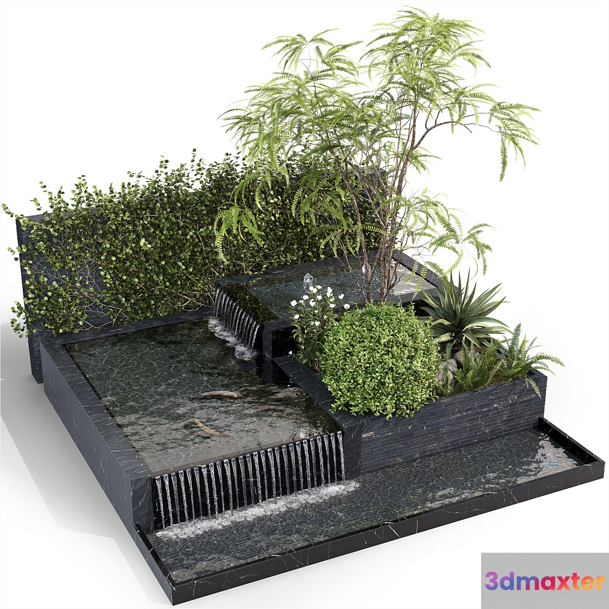 Water Ponds With Plants & fish