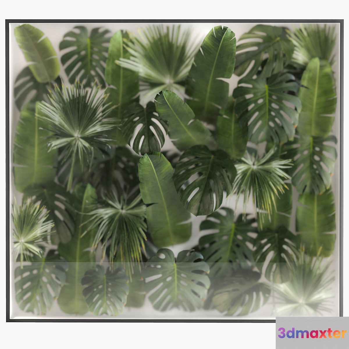Phytowall and phytobox made of banana palm branches and fan palm leaves in a niche behind a translucent stack. Bouquet 287. - No.3