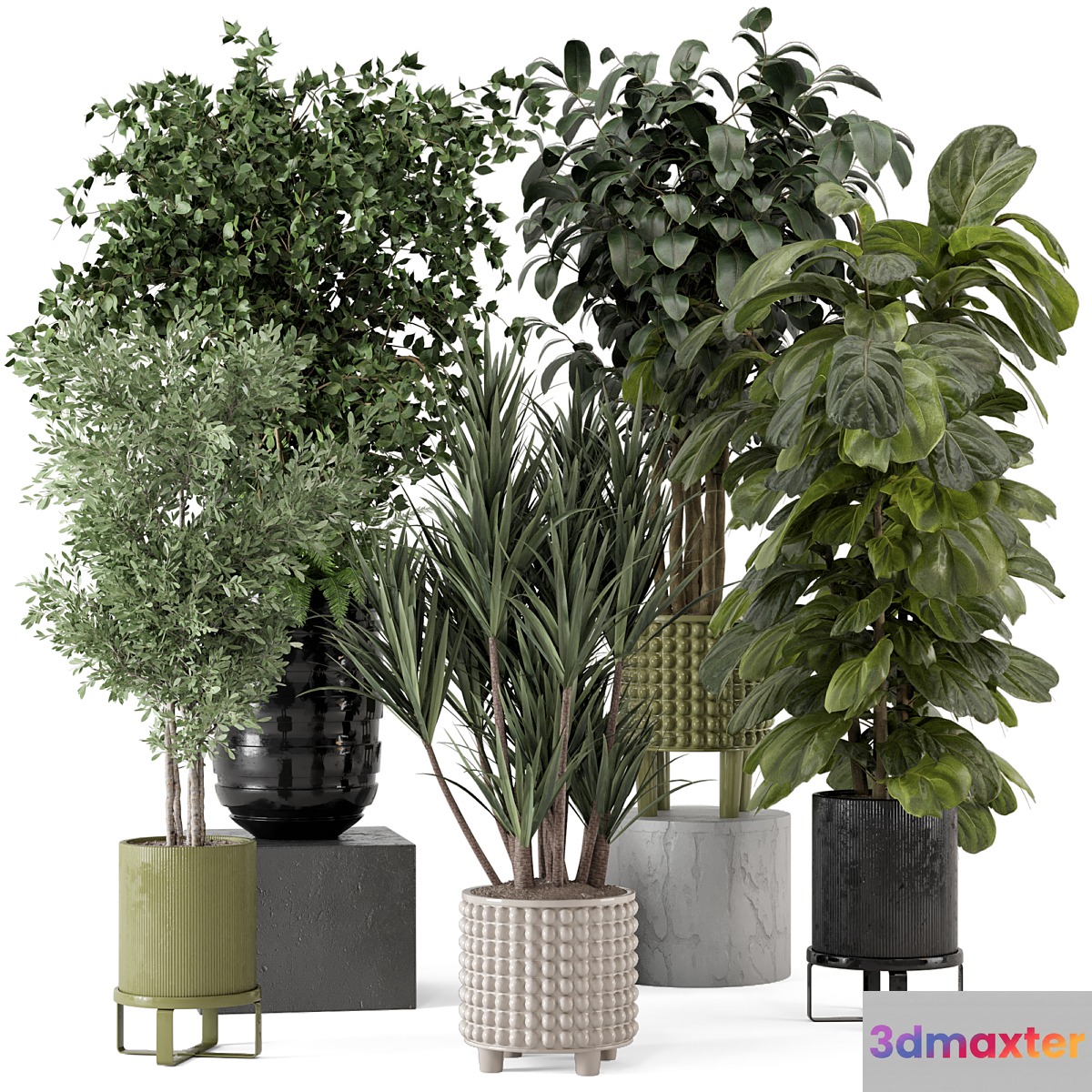Indoor Plants in Ferm Living Bau Pot Large - Set 1053