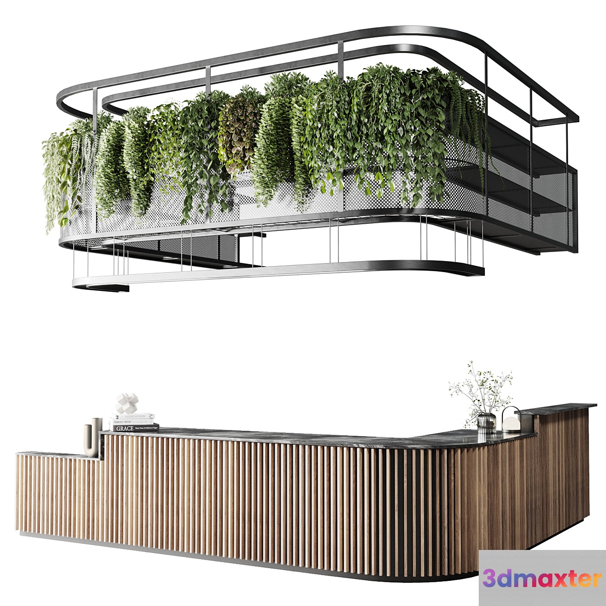 Coffee shop reception Restaurant counter by hanging plant - 03