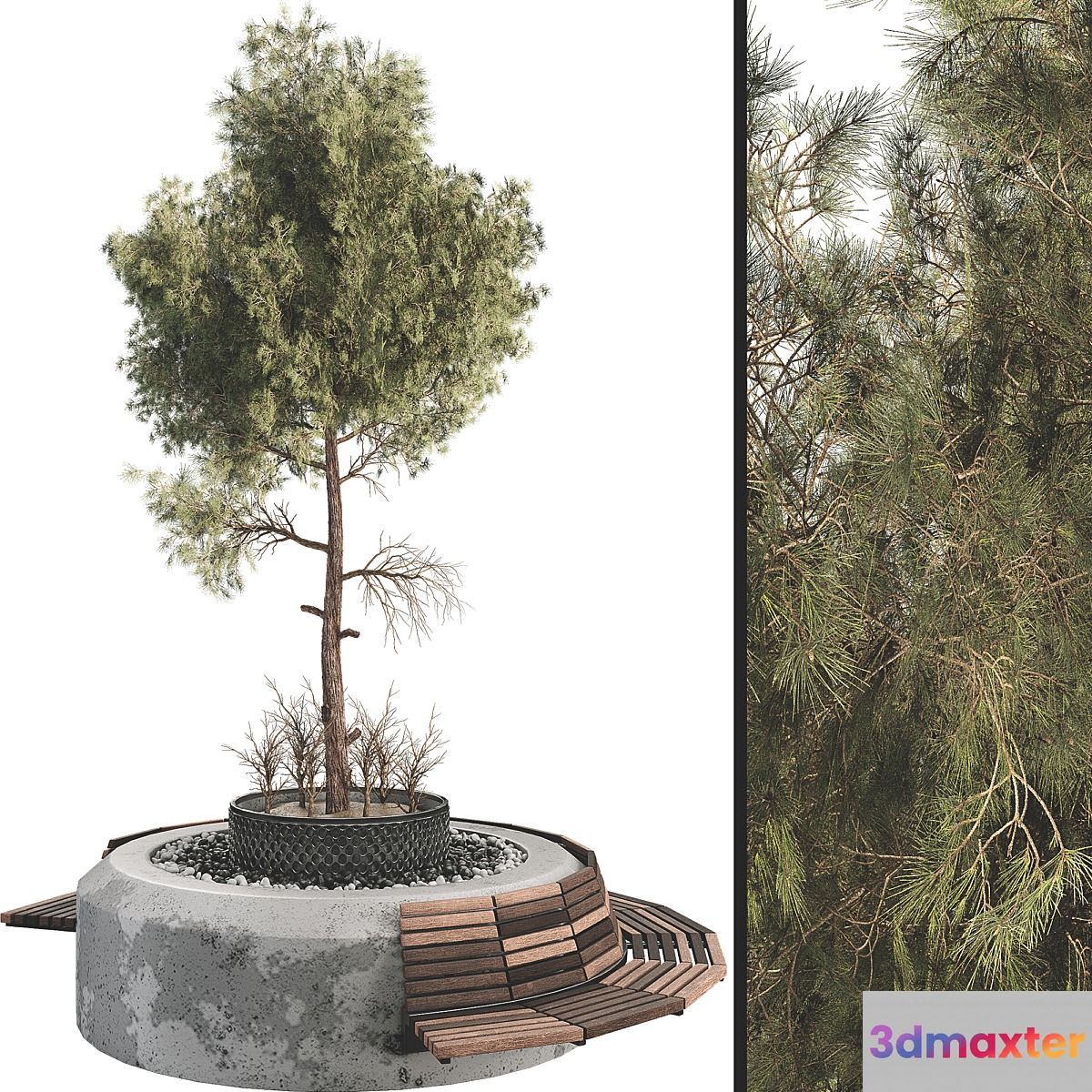 Outdoor Plant Set 06