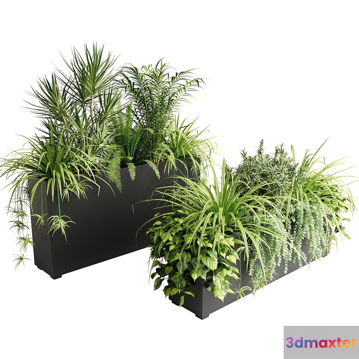 Indoor plants in outdoor boxes