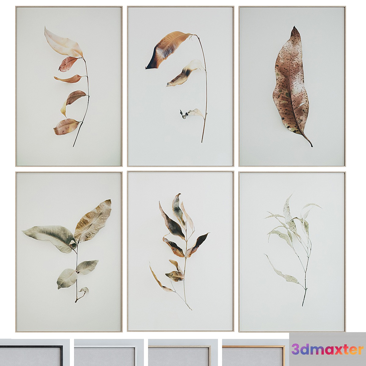 Picture Frame Set 1005