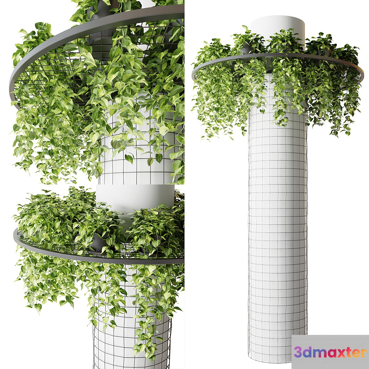 Column with hanging plants (epipremnum) - No.2