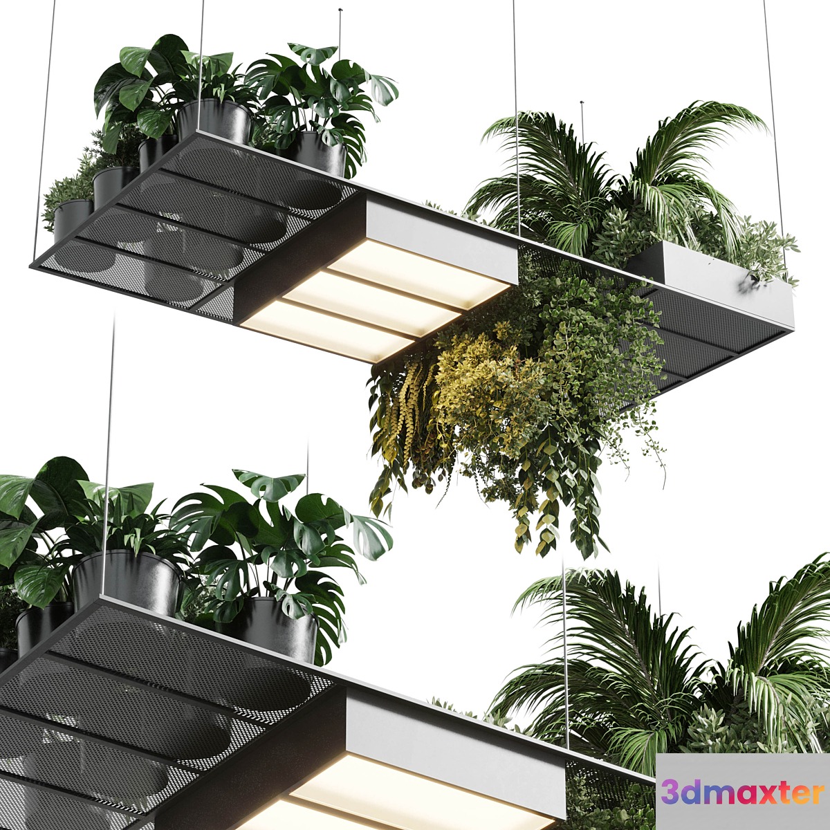 pot light - pendant plant light hanging 10