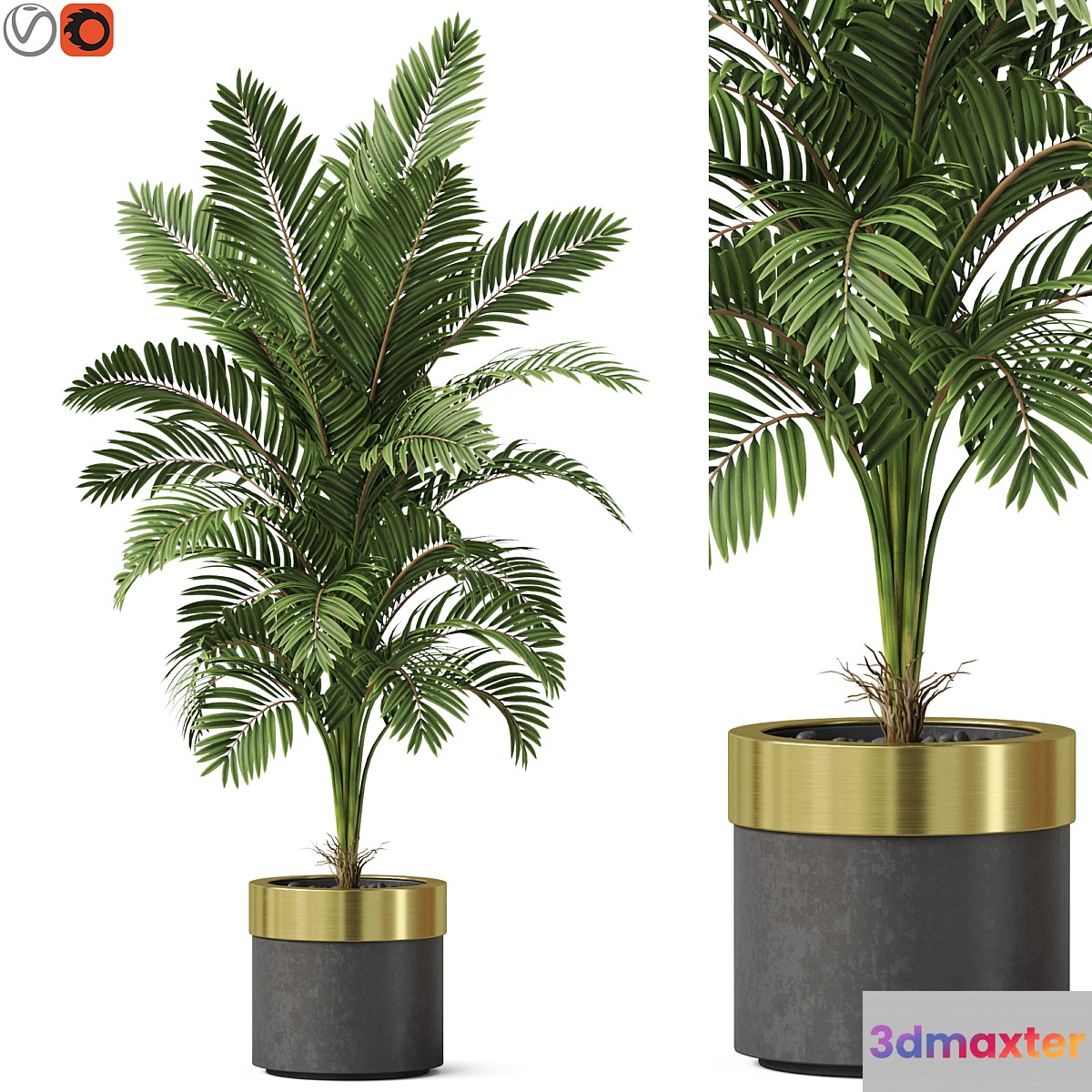 Plants collection 829