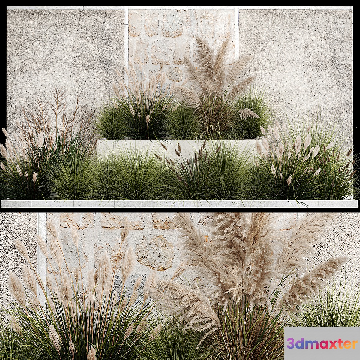 Collection of flowerbed plants and bushes with grass for landscaping pampas grass cortaderia and white reeds. 1126.