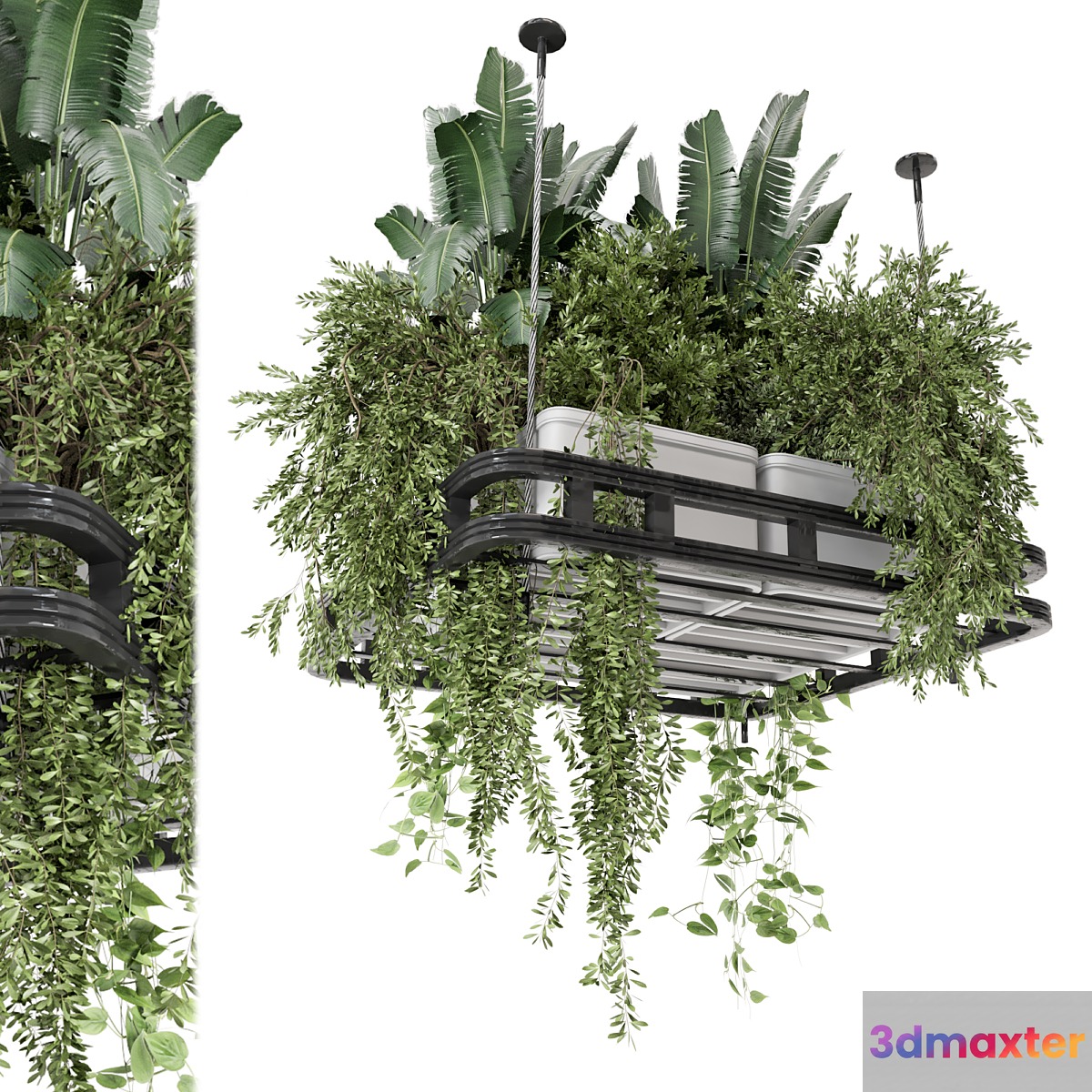 Hanging Plants Set in Concrete Pot - Set 1113 - No.2