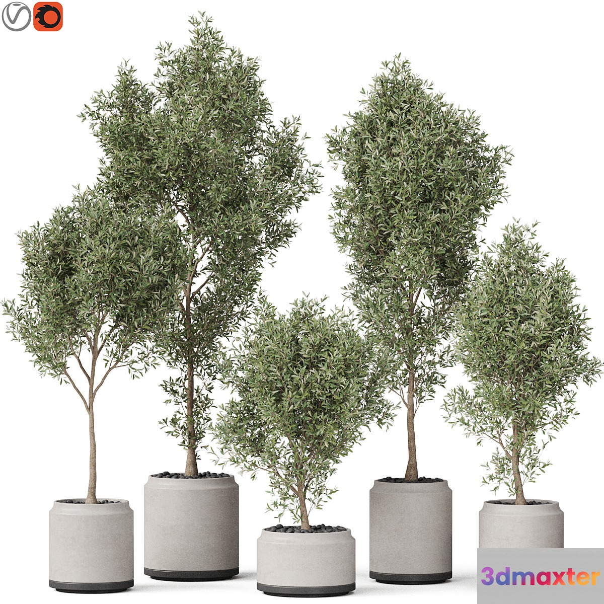 Plants collection 846 - No.2