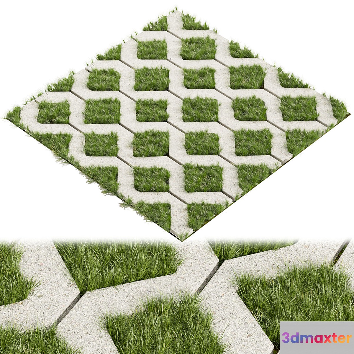 Collection plant vol 398 - grass - concrete - tileable 3D Max