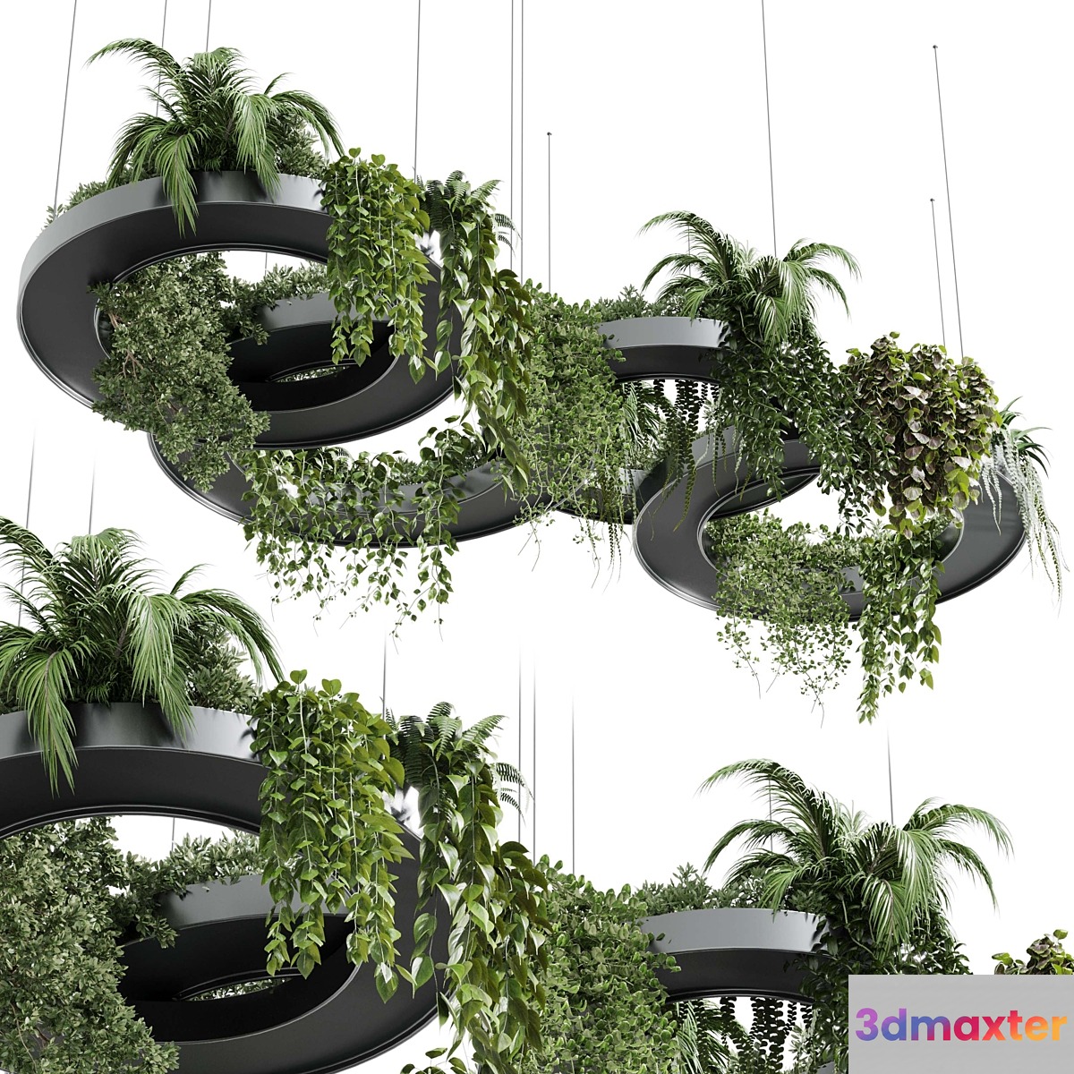 Hanging Plants - Indoor plants 309 3D Max