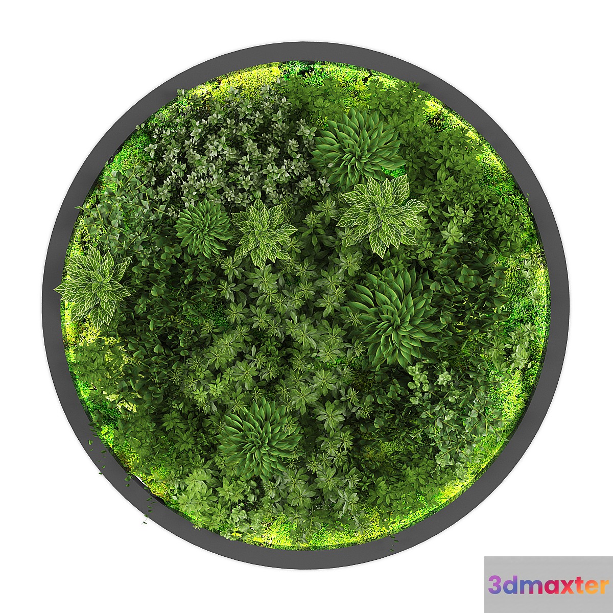 vertical garden188 - No.2