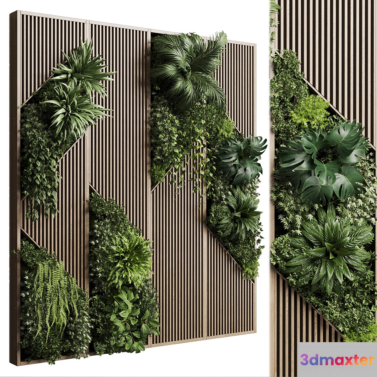 Vertical Wall Garden With Wooden frame - collection of houseplants indoor 41 - No.2