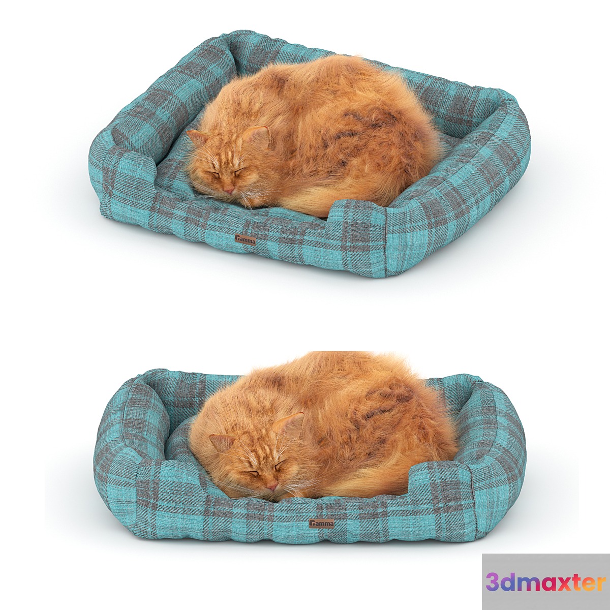 Ginger cat on the bed - No.2