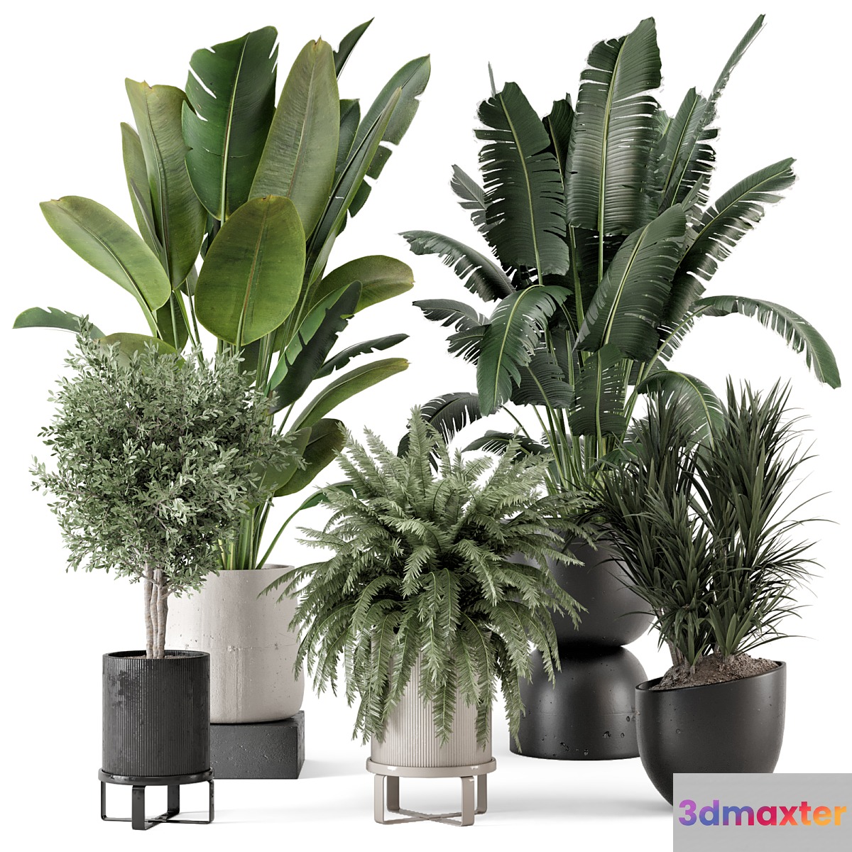Indoor Plants in rusty Concrete Pot - Set 1167 - No.2