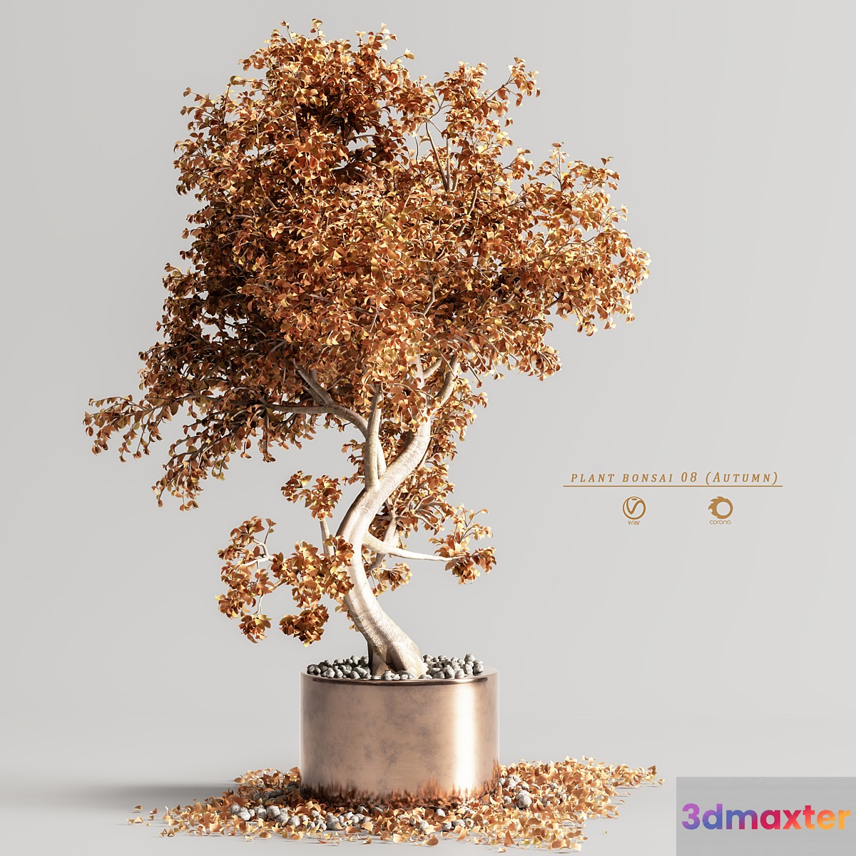plant bonsai 08 (Autumn)