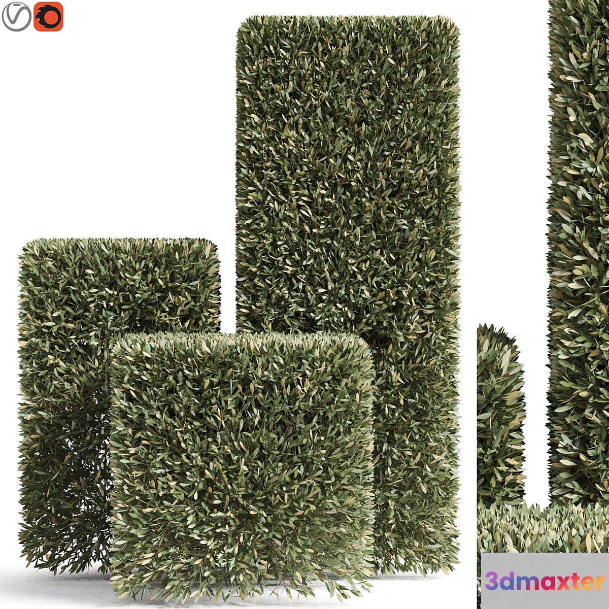 Plants collection 858 3D Max
