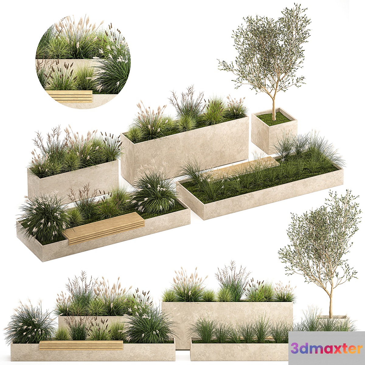 Collection of plants for the urban environment with a flower bed a bench and concrete outdoor flowerpots bushes and grass Miscanthus olive tree garden. 1141.