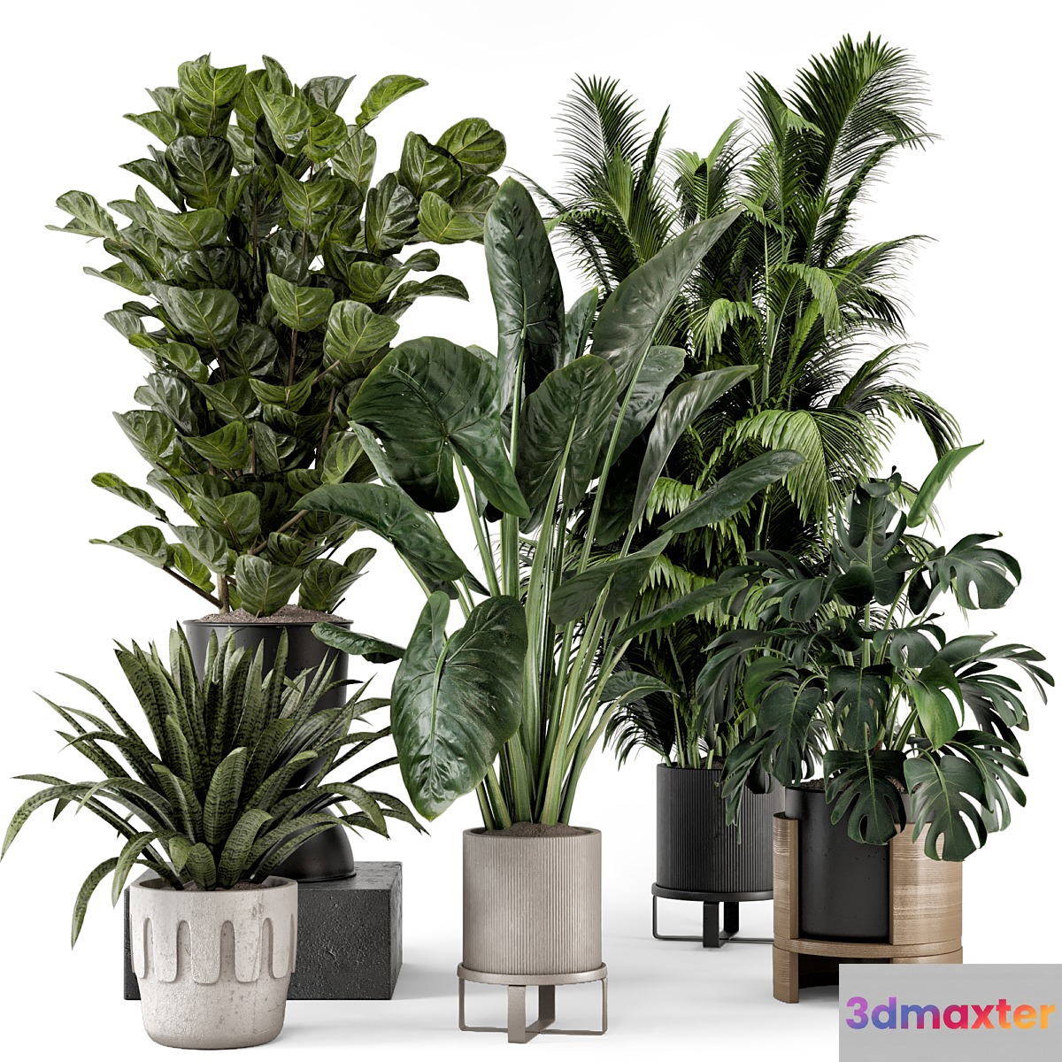 Indoor Plants in Ferm Living Bau Pot Large - Set 1188 - No.2