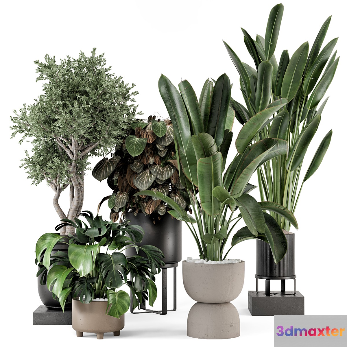 Indoor Plants in Ferm Living Bau Pot Large - Set 1204 3D Max