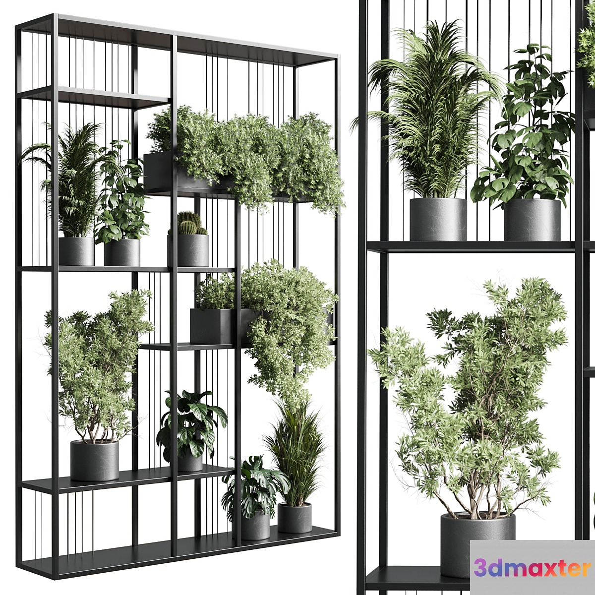 Standing metal shelf with a set of plants in concrete and metal boxes 325 - No.2