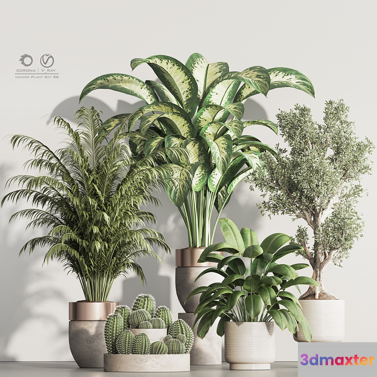 Indoor Plant Set 88 3D Max