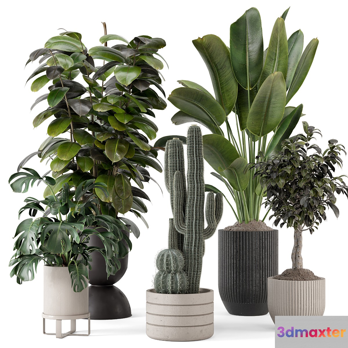 Indoor Plants in Ferm Living Bau Pot Large - Set 1220