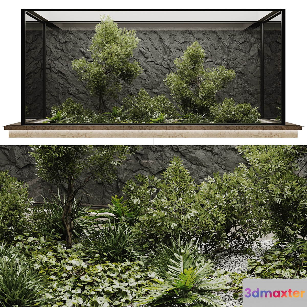 indoor plant set 50