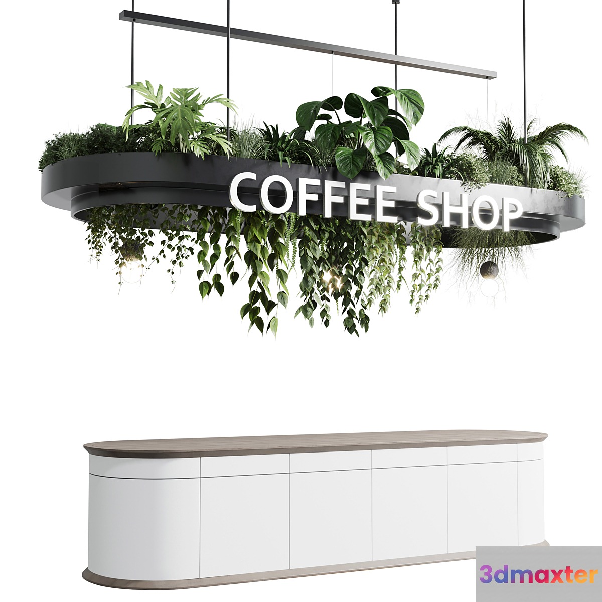 Coffee shop reception Restaurant counter by hanging plant - 01