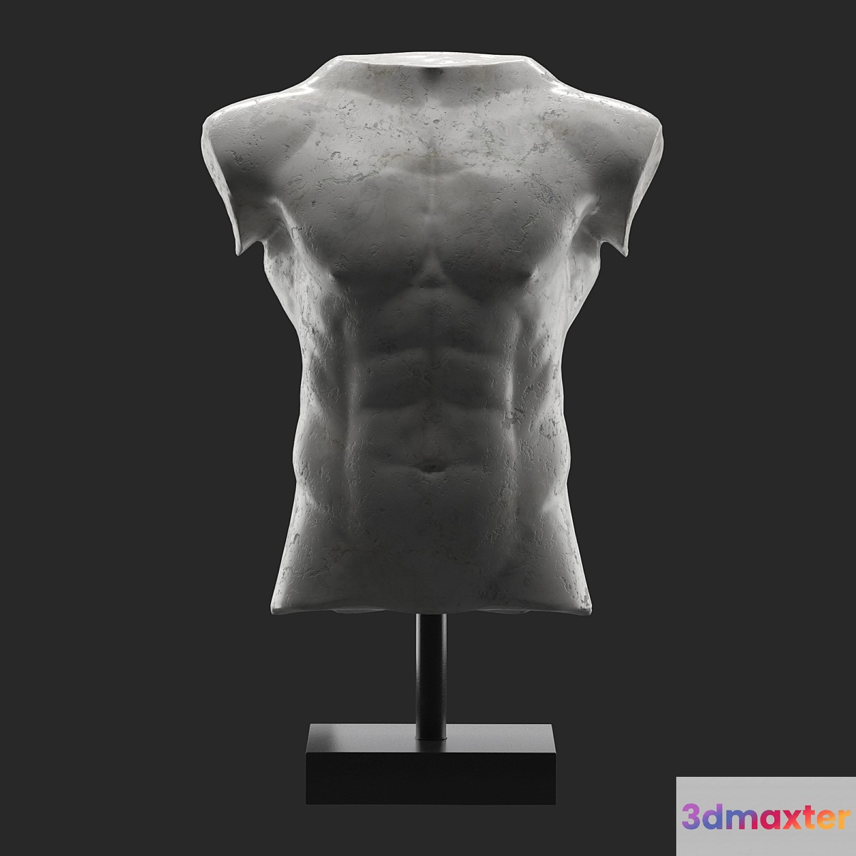 Marble Male Torso