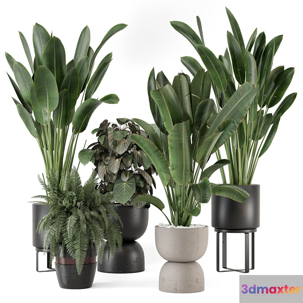 Indoor Plants in Ferm Living Bau Pot Large - Set 1256 3D Max