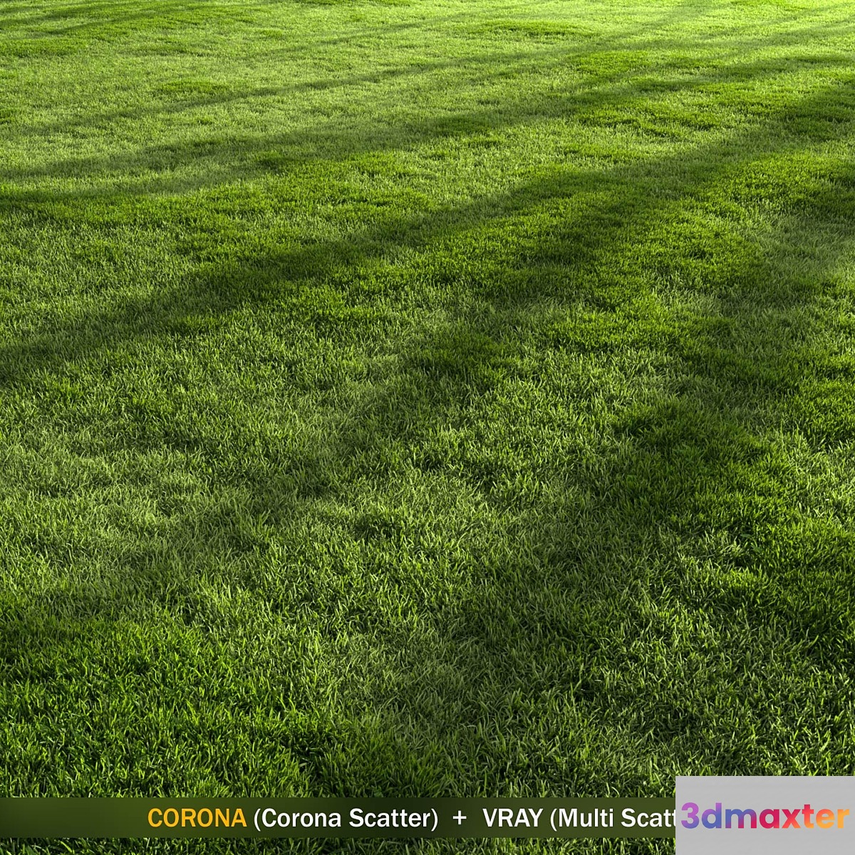 Forest Grass 2