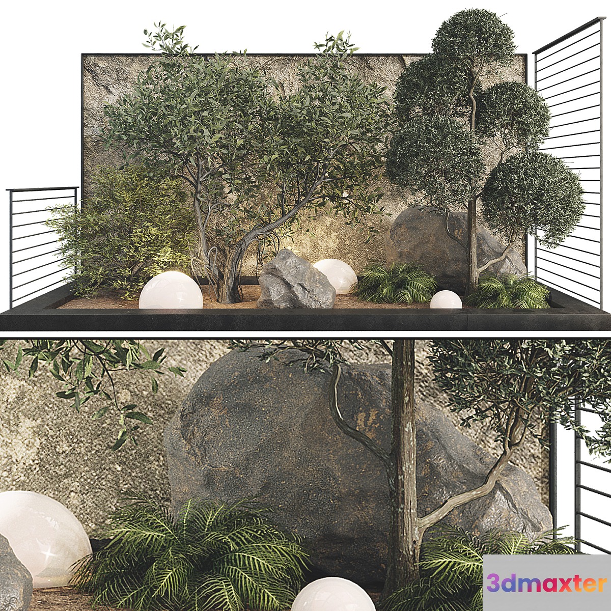 Plant Collection Set 36