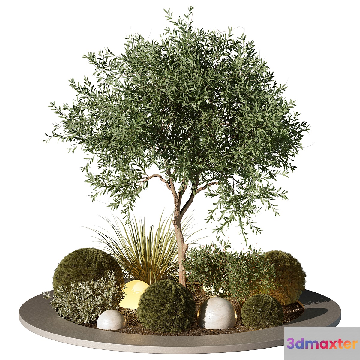 Outdoor Plant 196 3D Max