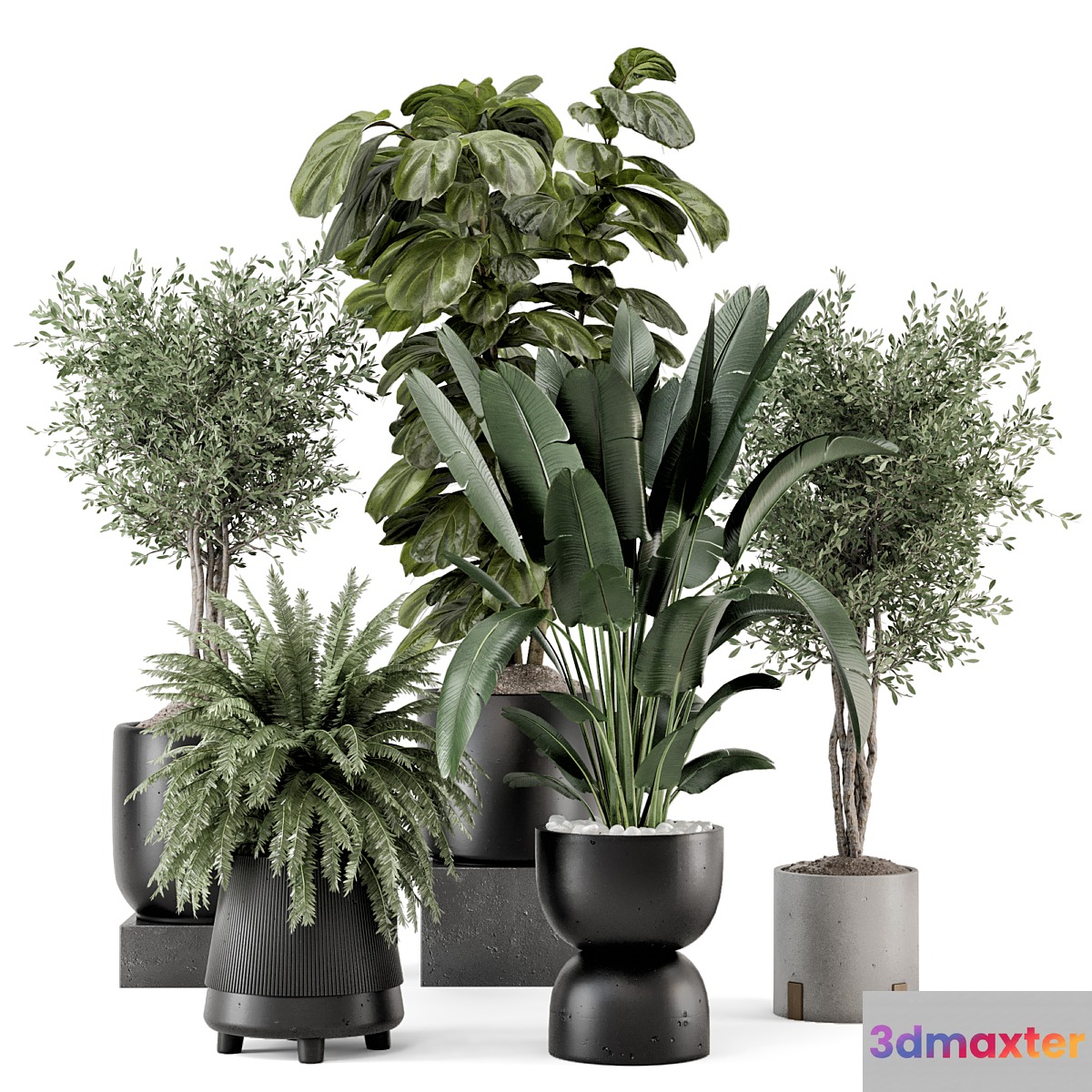 Indoor Plants in Ferm Living Bau Pot Large - Set 1277 - No.2