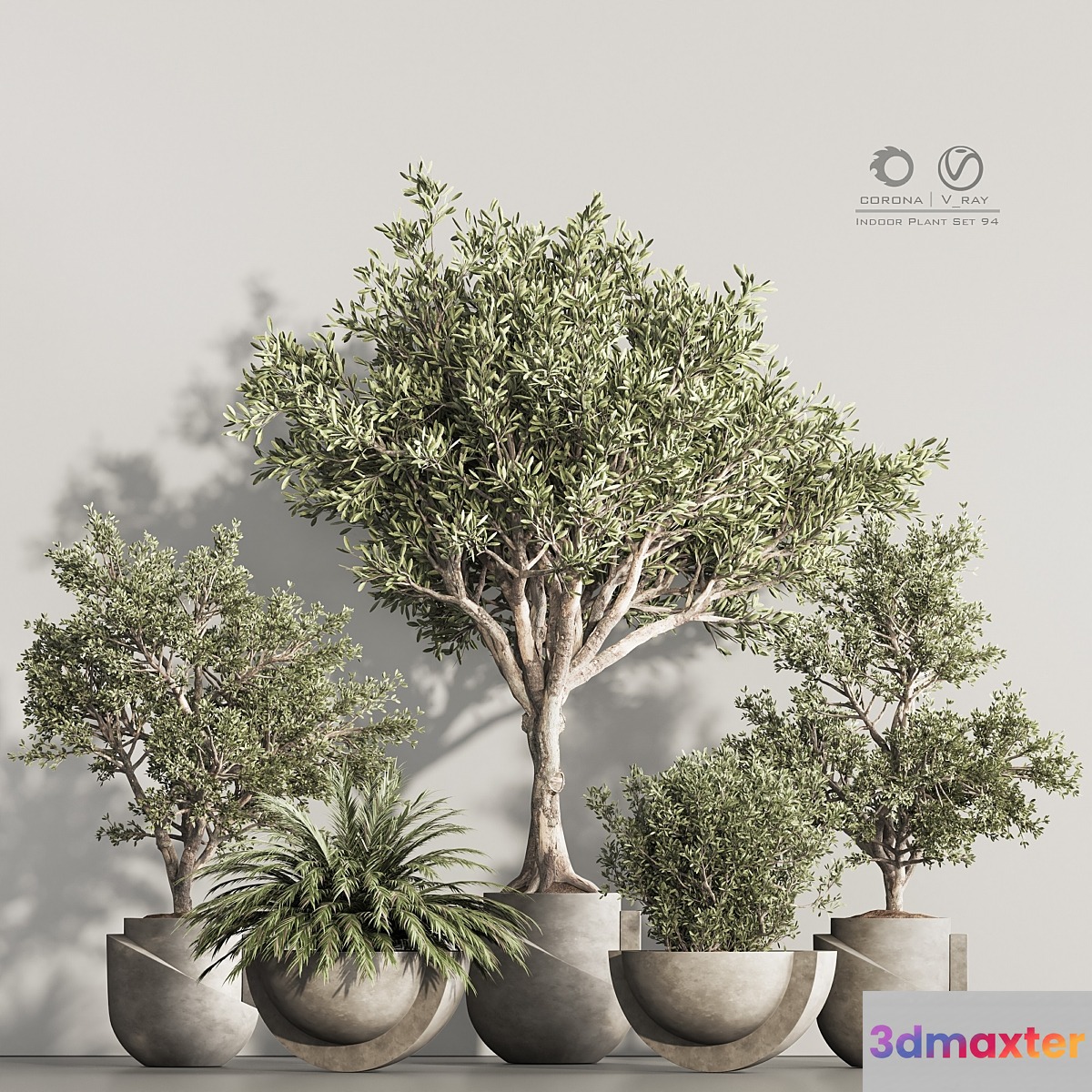 Indoor Plant Set 94