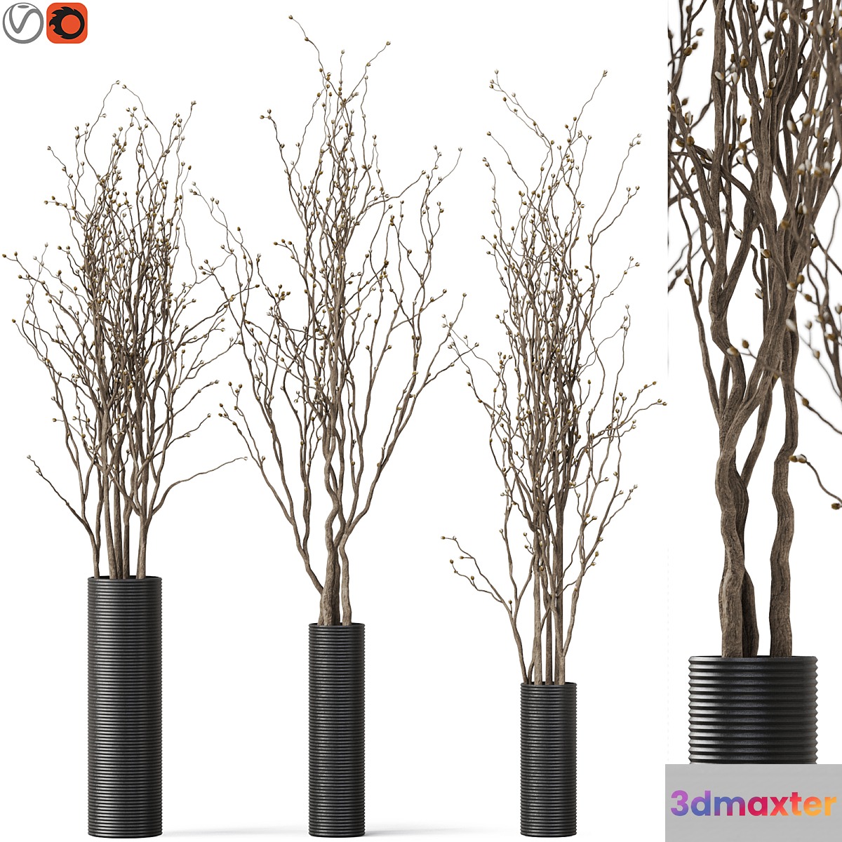 decorative branch 07 3D Max