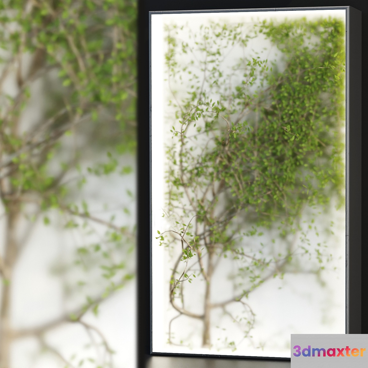 Plants in the light box vol 176 - No.3