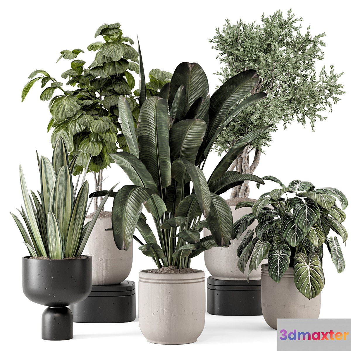 Indoor Plants in rusty Concrete Pot - Set 1286