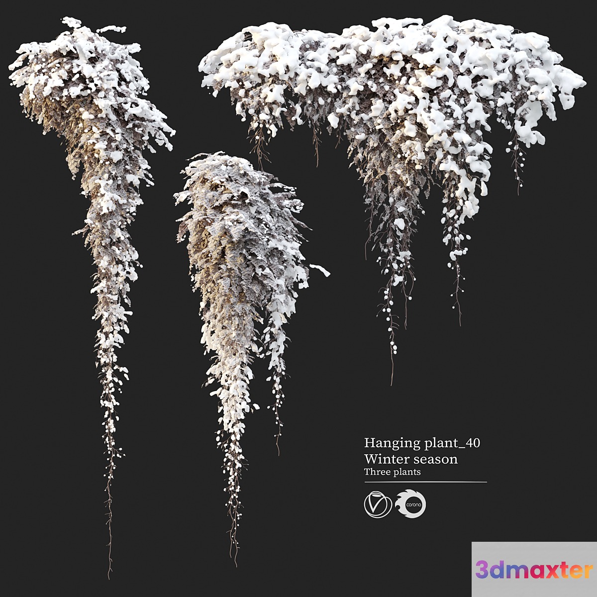 Hanging plant 40 3D Max