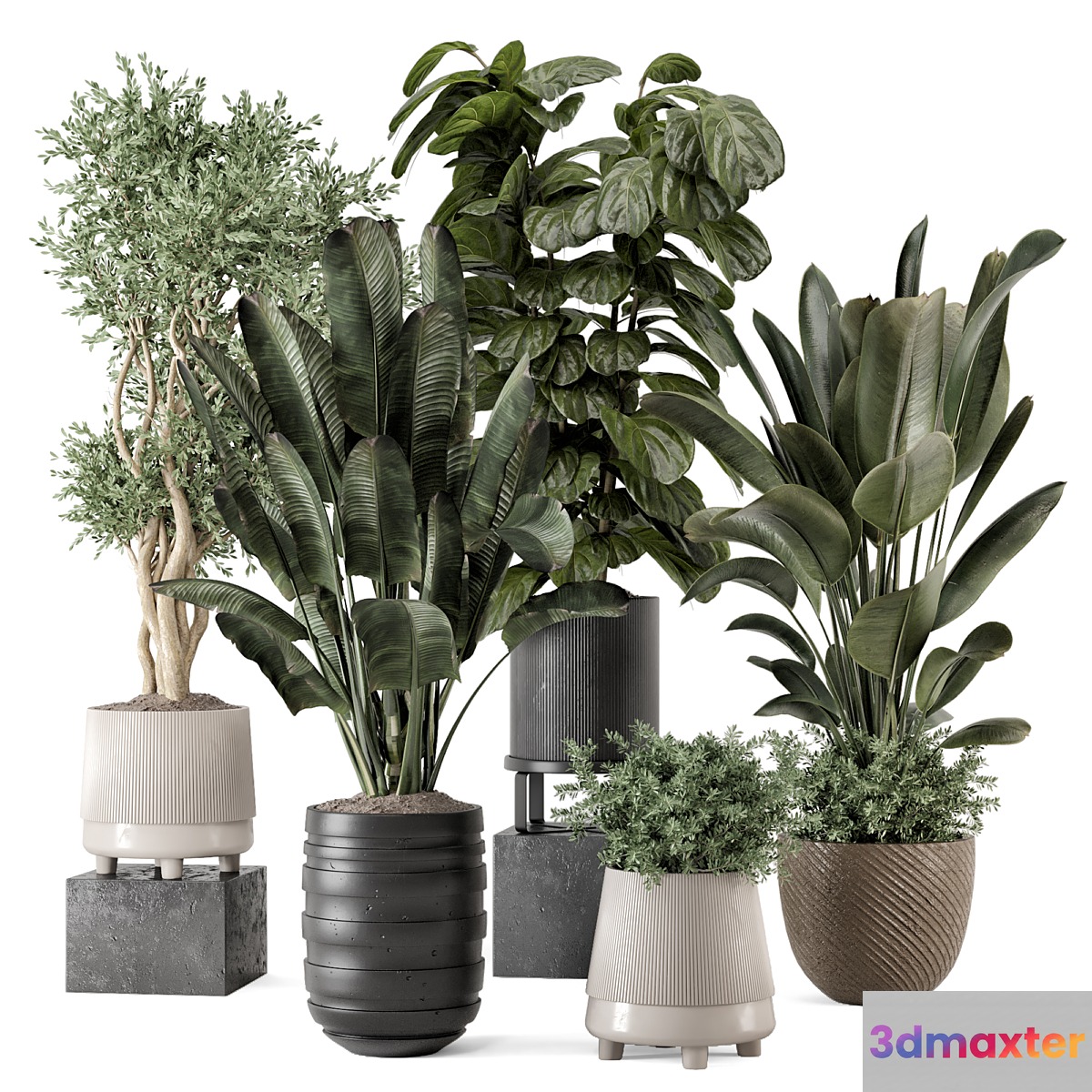 Indoor Plants in rusty Concrete Pot - Set 1291