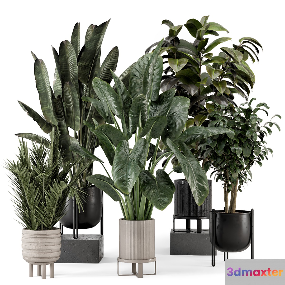 Indoor Plants in Ferm Living Bau Pot Large - Set 1292