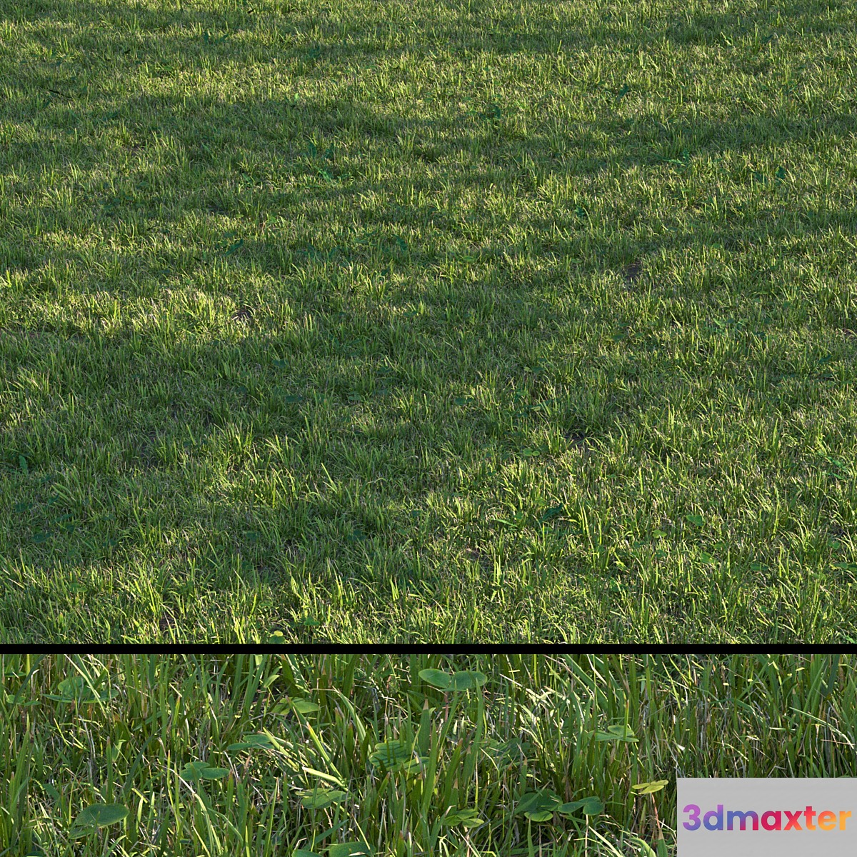 grass set04