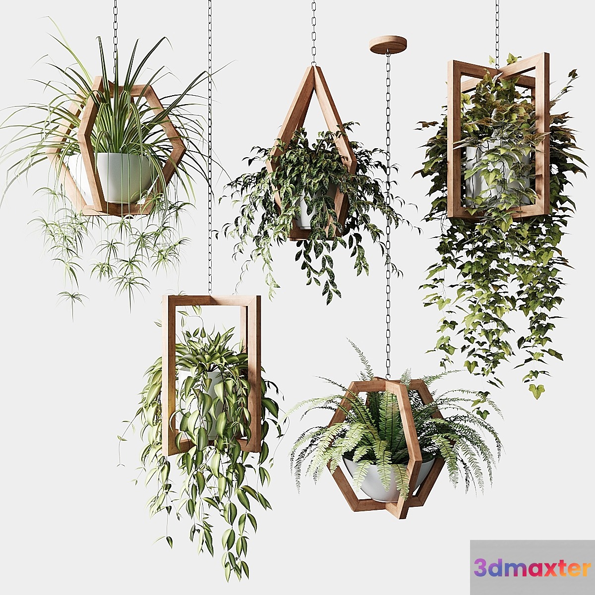 Ampelous plants in wooden figured hanging pots 3D Max
